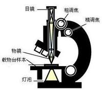 普通學生光學顯微鏡示意圖