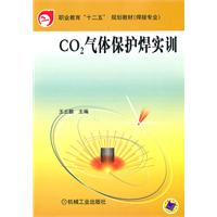 《CO2氣體保護焊實訓》封面