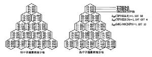 中子通量密度