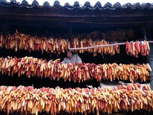 茶家後山村玉米產業