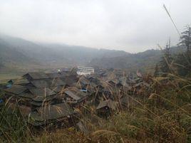 糯谷田村[雲南省昆明東川區銅都街道辦事處糯谷田村]