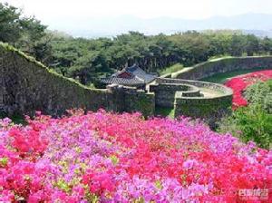 5月青島到韓國四飛五日旅遊