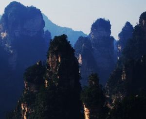 砂岩峰林景觀