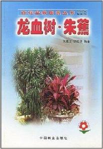 龍血樹朱蕉