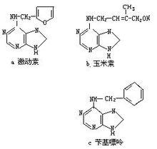 細胞分裂素