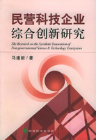 民營科技企業綜合創新研究