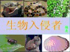 生物入侵者