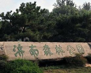 濟南森林公園