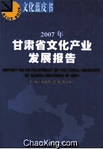 2007年甘肅省文化產業發展報告