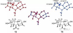 分子自由度