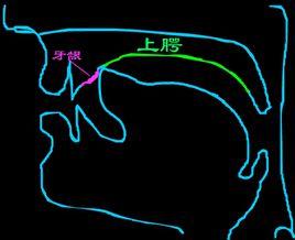 平舌音翹舌音