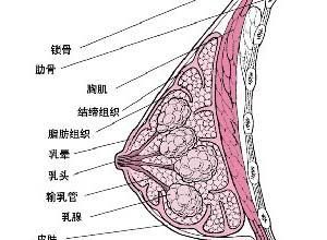 乳痛症