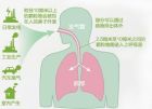 pm2.5的來源及危害