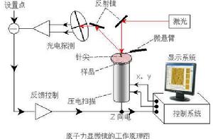 AFM[原子力顯微鏡]