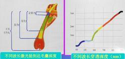 圖1  不同波長光的穿透情況