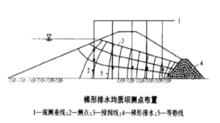 梯形排水均質壩測點布置