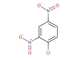 2,4-二硝基氯苯