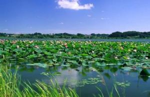 東平湖風景區