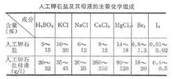 製鹽母液綜合利用