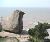 大鶴海濱森林公園