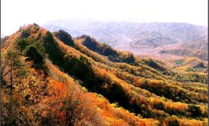 雞冠山國家森林公園