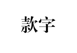 款字