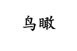 鳥瞰[漢語詞語]