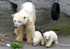 （圖）維也納動物園