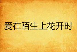 愛在陌生上花開時 愛在陌生上花開時