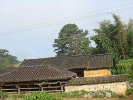 黃草壩村[雲南省玉溪紅塔區小石橋鄉下轄村]