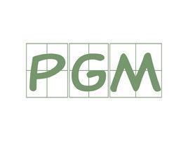 PGM[API庫]