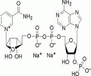 煙醯胺腺嘌呤二核苷酸
