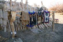 內蒙古阿拉善駝具