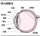 光可調屈光力晶狀體