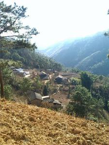 老龍溝村[雲南省文山州丘北縣雙龍營鎮老龍溝村]