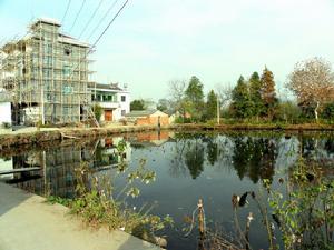 社前村[福建省龍巖市永定區撫市鎮下轄村]