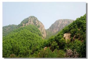 草廟村[河南洛陽市嵩縣下轄村]