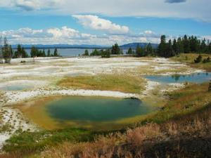 拇指間歇泉（Thumb Geyser）