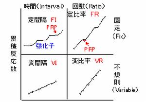 強化程式表