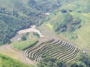 東甫下寨村梯田