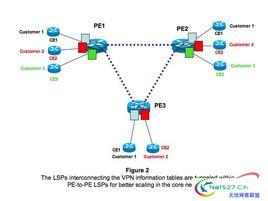 mpls vpn