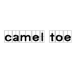 camel toe