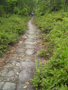 葉山亭嶺古道