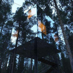 透明樹屋