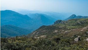 獅子頭山