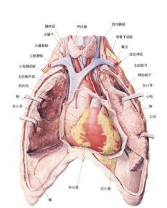 糖尿病性心肌病