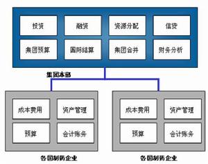 集權式財務管理體制