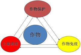 健康植保三道防線