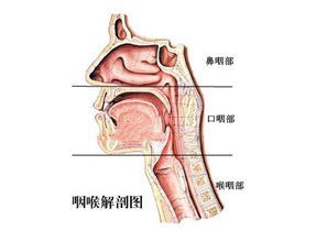 肥厚性咽炎