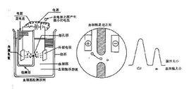 庫爾特計數法